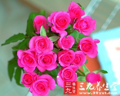 健康生活新时尚:慢生活细营养