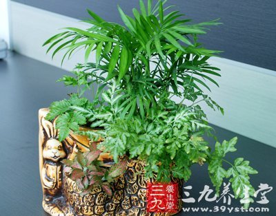 新发现 植物对人体的影响