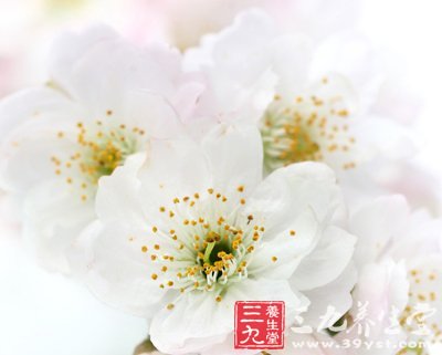 常吃葱蒜蔬菜助你预防春季感冒