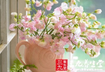 健康小常识 4招打造清新室内空气