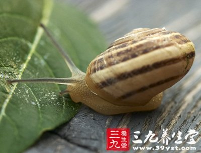 健康小常识 4招打造清新室内空气