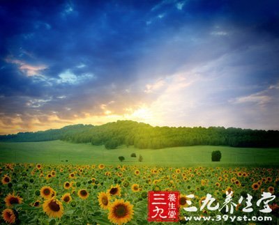 日光浴中紫外线的5大养生妙处