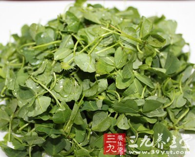 春季野菜养人 荐8道野菜养生食谱