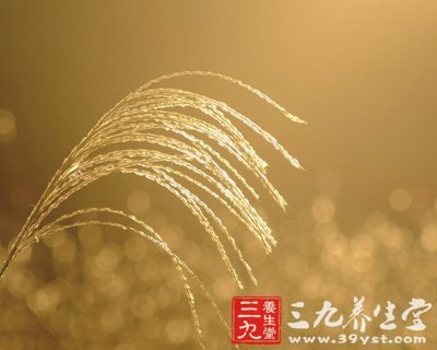 春季防病養(yǎng)生 遠離肩周炎頸椎病有高招