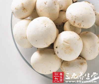 小小菌菇功過神醫(yī) 