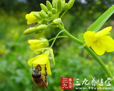 中西医详解风湿病原因以及防治妙招