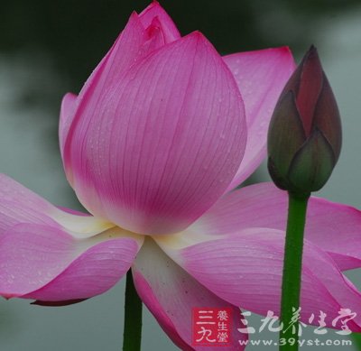 有效预防记忆减退方法