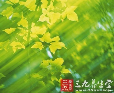 名老中醫(yī)楊介賓養(yǎng)生之道