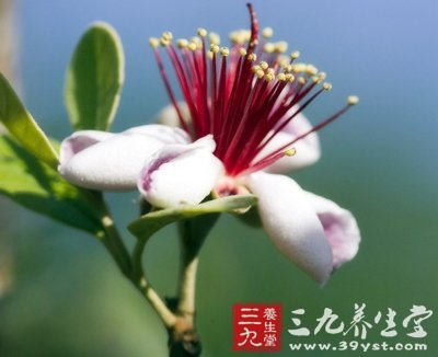 名老中醫(yī)楊介賓養(yǎng)生之道