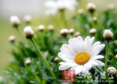 睡觉流口水可能是疾病来袭