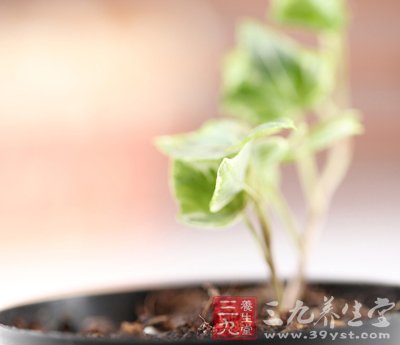 9个保健小妙计 有效预防偏头痛