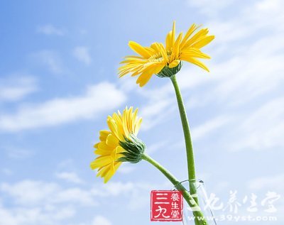 中医养生6个健康招 周末踏青玩的更high