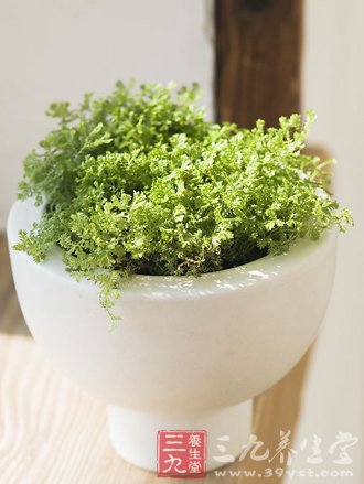 中医健脑养生八法