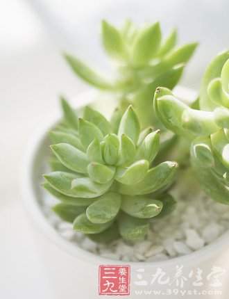 中医健脑养生八法