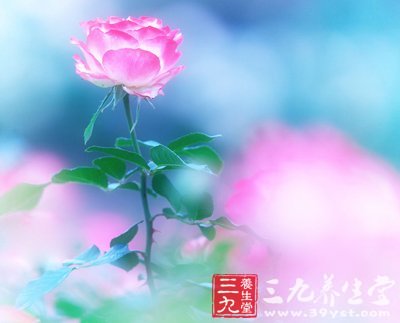 如花女人 教你春季巧用鮮花防病養(yǎng)生