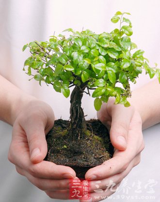 9个保健小妙计 有效预防偏头痛