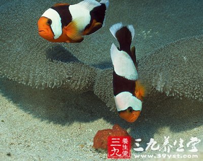 深海魚油雖營養(yǎng) 七種人吃它有禁忌