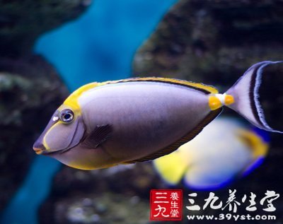 深海魚油雖營養(yǎng) 七種人吃它有禁忌