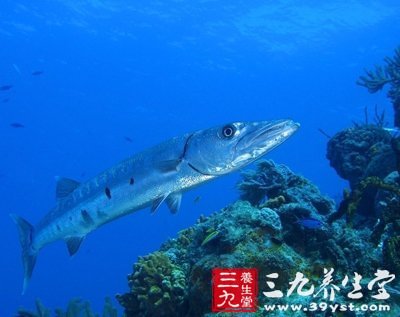 深海魚油雖營養(yǎng) 七種人吃它有禁忌