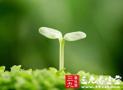 谷雨節(jié)氣將至 養(yǎng)肝祛濕要注意些什么