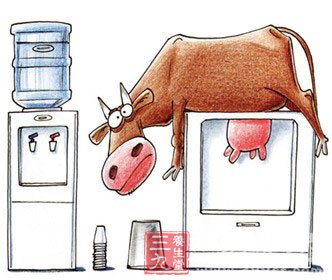 皮鞋酸奶已out 高龄奶牛靠激素产奶