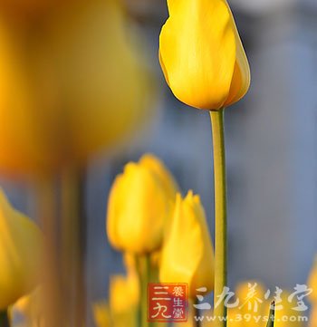 立夏养生注意夜卧早起养阳气