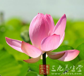 立夏养生注意夜卧早起养阳气