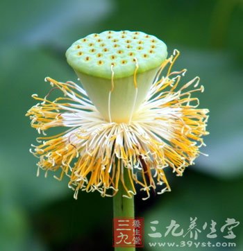 立夏养生注意夜卧早起养阳气