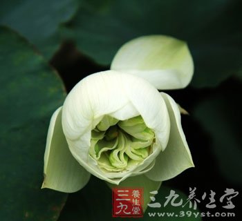 立夏养生注意夜卧早起养阳气