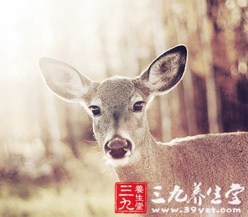 6节“便秘操”帮你通顺肠道