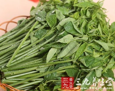 夏季養(yǎng)生選野菜 營(yíng)養(yǎng)又治病