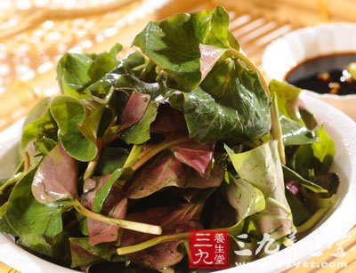 夏季養(yǎng)生選野菜 營(yíng)養(yǎng)又治病