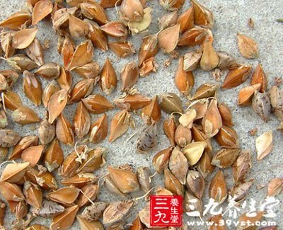 治療高脂血癥的膳食食療方