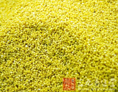 小米3种吃法 怕冷的人别多吃