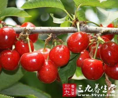 自制藥膳補(bǔ)腎虛