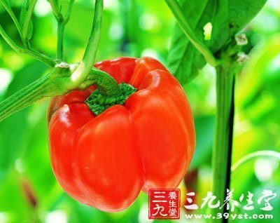 农药残留问题严重 给“风险”蔬菜排排座