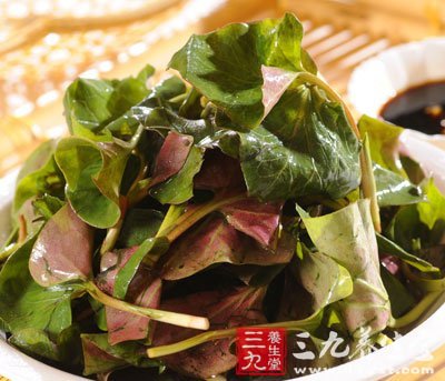 盲目追捧野菜 小心跌入饮食误区