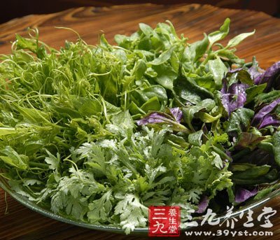 盲目追捧野菜 小心跌入饮食误区