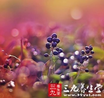 6节“便秘操”帮你通顺肠道