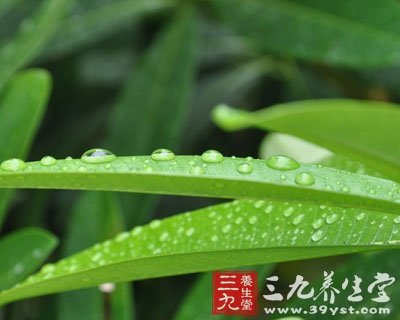三九养生堂-阴雨绵绵扰人心 四点让你梅雨时节
