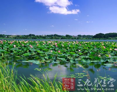 夏季易遇的傳染病的防治