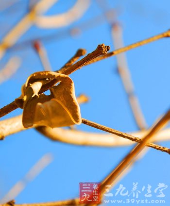 寒濕腰痛 食療妙方幫你忙