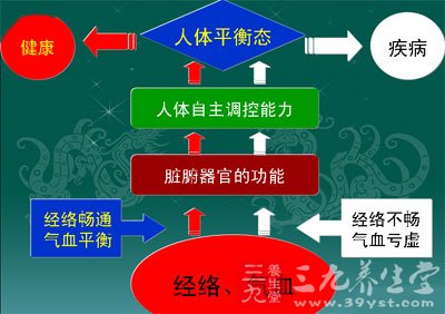 中医养生 教你全面的经络养生法