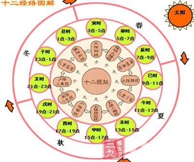 中医养生 教你全面的经络养生法