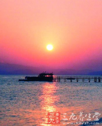 消暑药膳健康度夏日