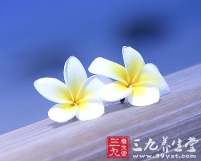 大暑時(shí)節(jié)濕熱難耐 吃什么養(yǎng)生保健