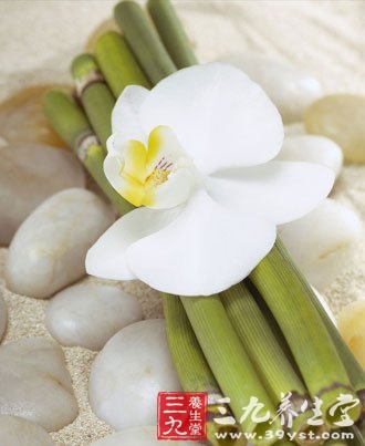 做SPA水疗 别走进4个误区