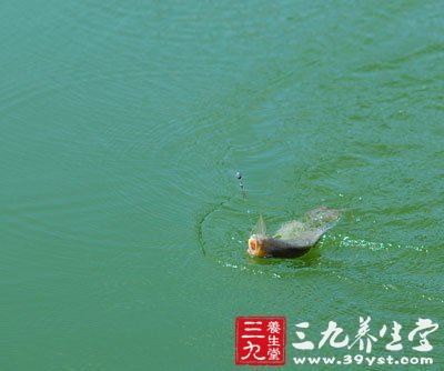 垂釣禁忌 夏季釣魚忌在午時