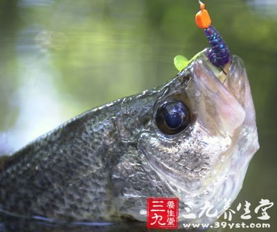 垂釣禁忌 夏季釣魚忌在午時