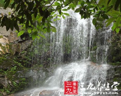 在意大利別喂鴿子 出國(guó)旅游有禁忌